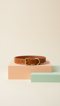 Caramel Leather Dog Collar